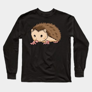 Hedgehog Hedgehogs Long Sleeve T-Shirt